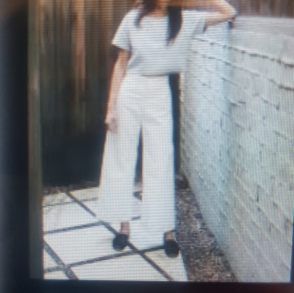 Stunning Mariella Burani White Pants